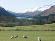 Self catering holiday cottages