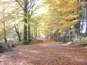 holiday cottage